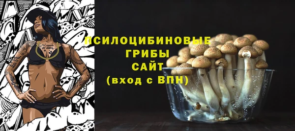 MESCALINE Переславль-Залесский