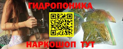 СК Дубна