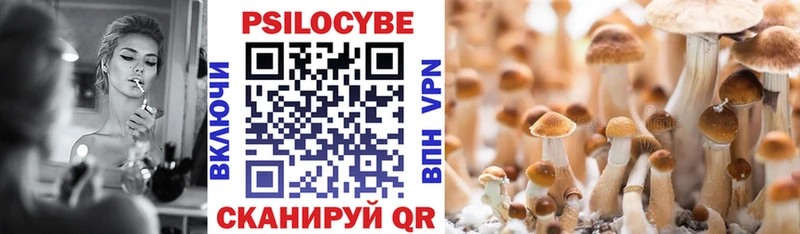Галлюциногенные грибы Cubensis  Железногорск 