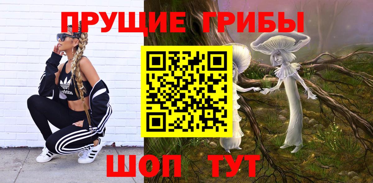 Галлюциногенные грибы Cubensis  Псилоцибиновые грибы ЛСД  Вход с VPN  Железногорск 