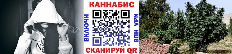 мега зеркало  нарко площадка телеграм  Бошки Шишки SATIVA & INDICA  наркотики  Железногорск 